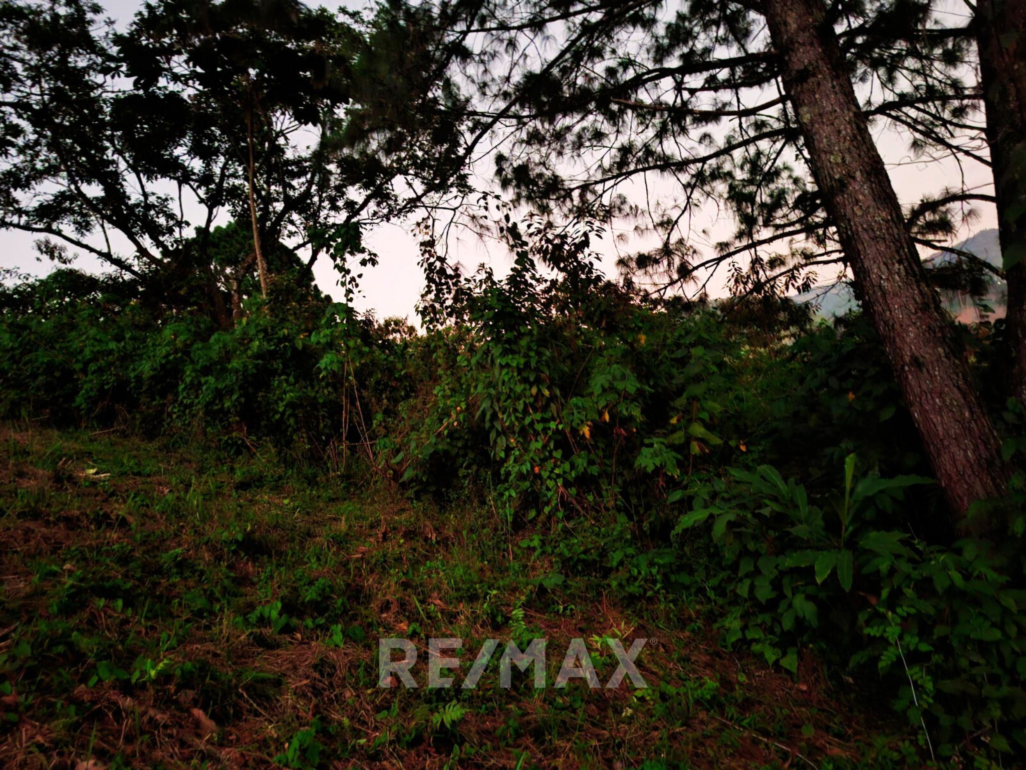 RE/MAX real estate, Guatemala, Coban, LAND IN OSTUA, COBAN - 1,945.94 M2. / ALTA VERAPAZ